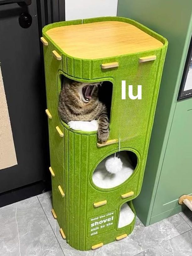 고양이 긁는판 고양이집 소파 보호 내구성 좋은 고양이용품 2단 그린 쿠션없음