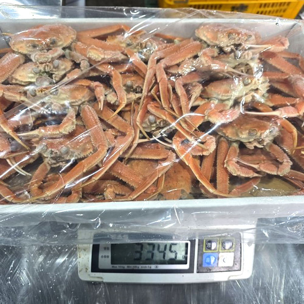 북해도 자숙대게 3.5kg 훗카이도 청정지역 속이 꽉찬 대나무대게 12-15미 - 상세 이미지 4