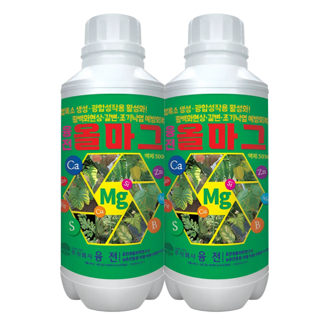 [마그네슘비료] 올마그 액제 미량요소 광합성작용 식물영양제 500ml, 2개입 - 상품 이미지