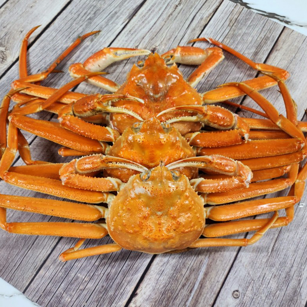 북해도 자숙대게 3.5kg 훗카이도 청정지역 속이 꽉찬 대나무대게 12-15미 - 상세 이미지 3