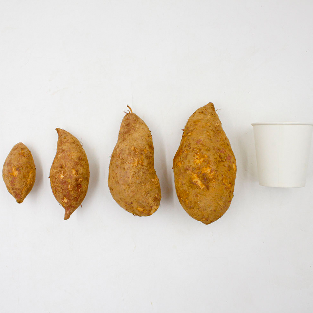 영암 호풍미 고구마 산지직배송 촉촉·달콤 꿀맛 고구마 비세척 한입 2kg - 상세 이미지 5