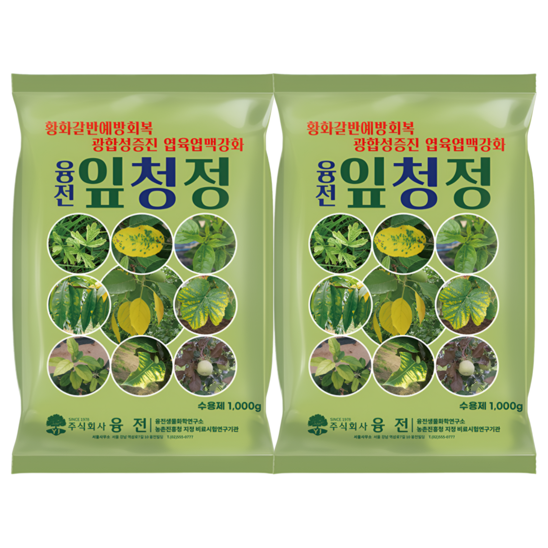 [마그네슘비료] 잎청정 급속회복탄 수용제 갈반회복 황화회복 광합성촉진 1kg, 2개입 - 상품 이미지