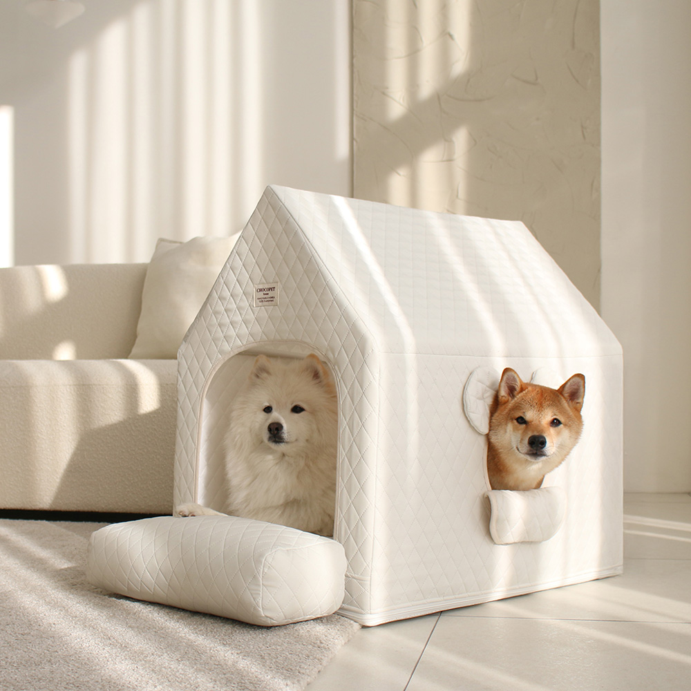 초코펫 중형견 대형견 실내 강아지집 에브리데이하우스 3.0 특대형