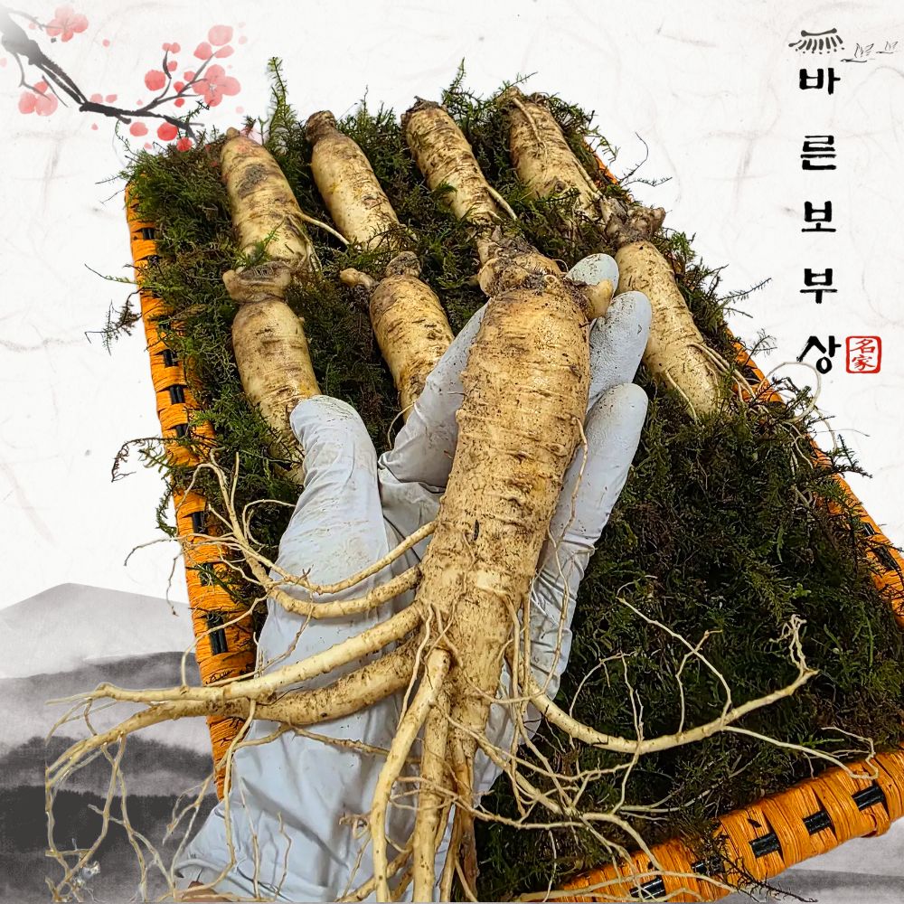 바른보부상 6년근 수삼 인삼선물세트 750g 생인삼 설 명절선물 - 상세 이미지 2