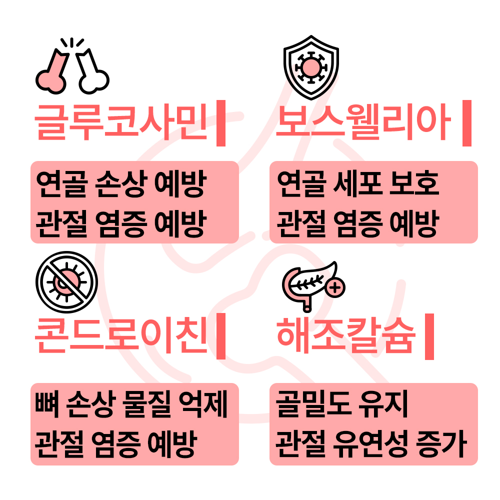 펫생각 강아지 관절 영양제 칼슘 슬개골 고관절 관절염 조인트 120g, 60정, 1개 이미지 4