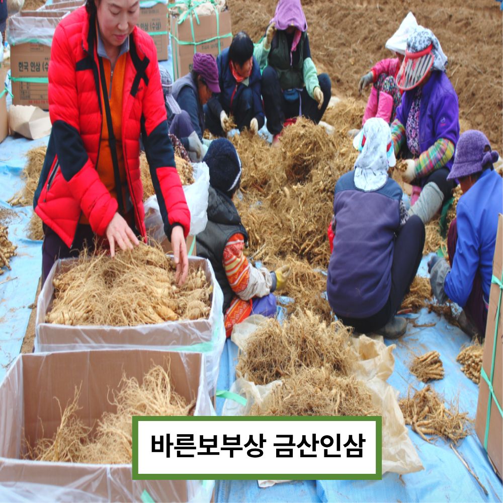 바른보부상 6년근 수삼 인삼선물세트 750g 생인삼 설 명절선물 이미지 8