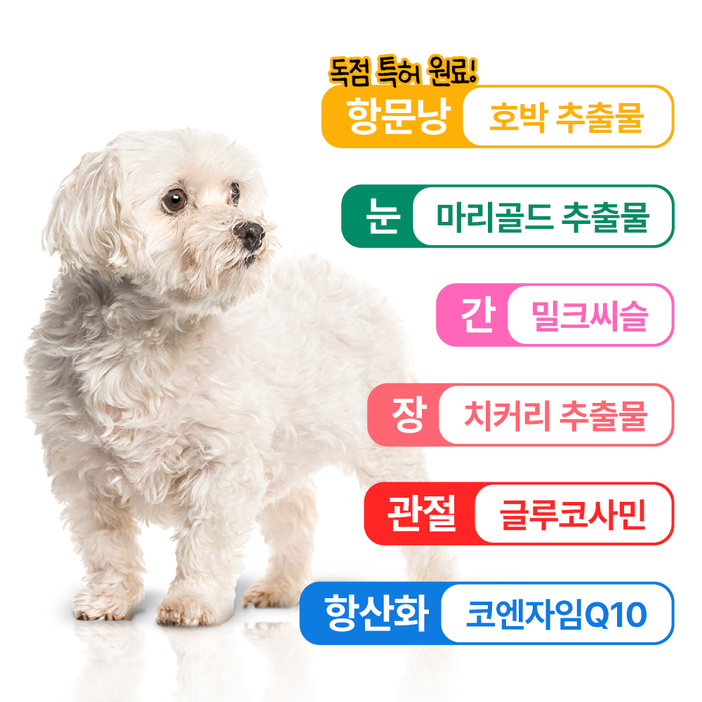 펫생각 리얼멀티비타민 강아지 종합 영양제 눈 간 피부 관절 기관지 항문낭 60정, 1개