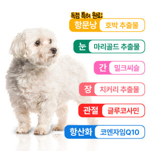 펫생각 리얼멀티비타민 강아지 종합 영양제 눈 간 피부 관절 기관지 항문낭... 솔직 후기 | 실제 사용자 리뷰 총정리 - 상품 이미지 4