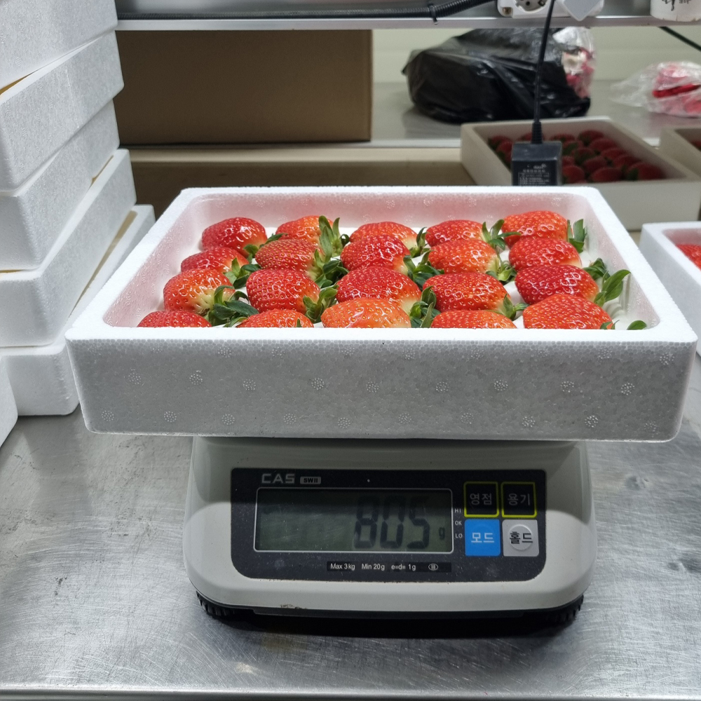 논산 설향딸기 당도좋은 생딸기 가정용 750g 한입 소과 - 상세 이미지 4