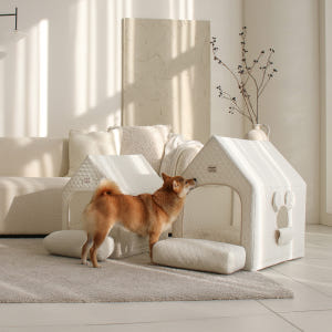 초코펫 중형견 대형견 실내 강아지집 에브리데이하우스 3.0 특대형 솔직 후기 | 실제 사용자 리뷰 총정리 - 상품 이미지 3