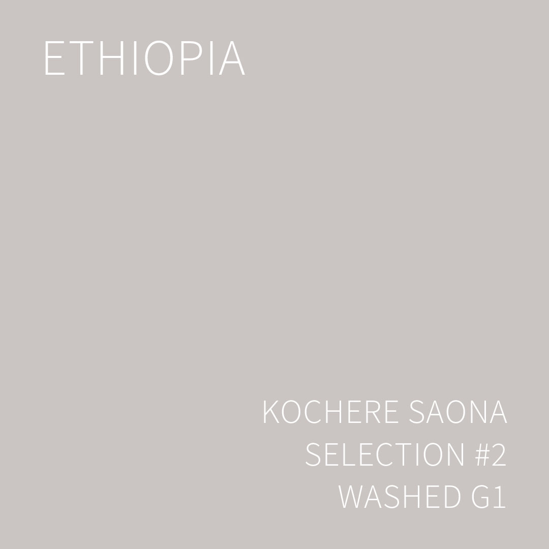 에티오피아 코체레 사오나 셀렉션 #2 워시드 G1 5KG (ETHIOPIA KOCHERE SAONA SELECTION #2 WASHED)