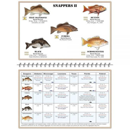 [해외]보안 자물쇠 캐비닛 잠금 멕시코만/걸프 오브 아메리카 물고기 식별 소책자 - 150개 이상의 바닷물 이미지, 규칙 및 규정 227115