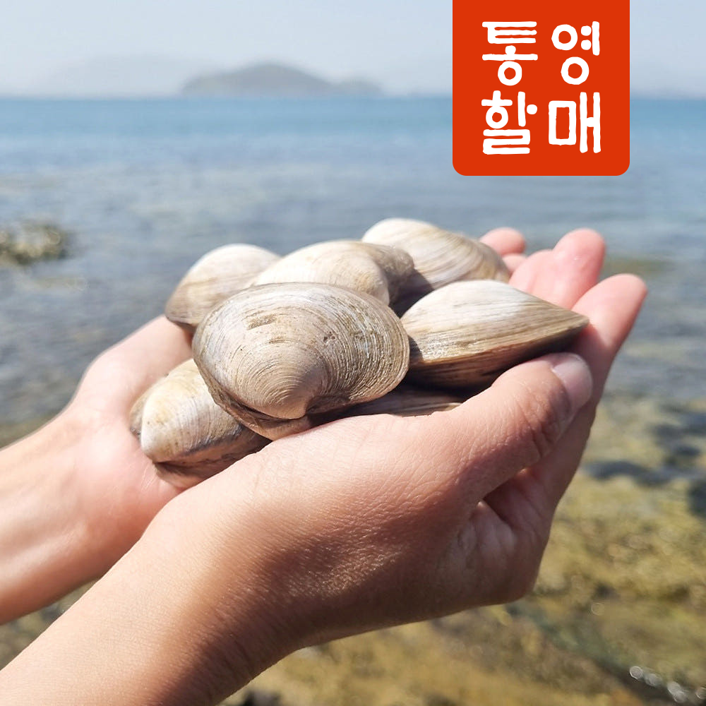 통영할매 백생합 백합 상합 백상합 1kg 이미지 2