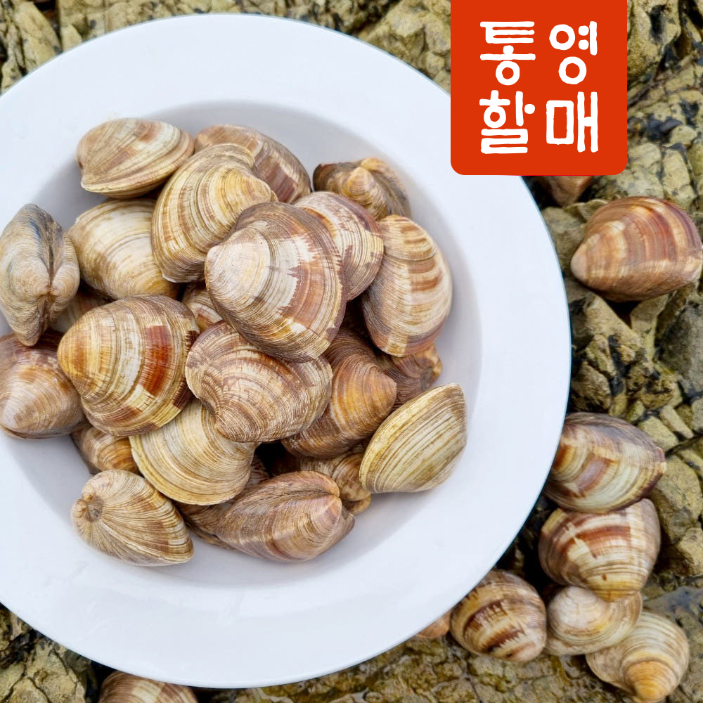 통영할매 백생합 백합 상합 백상합 1kg 이미지 4