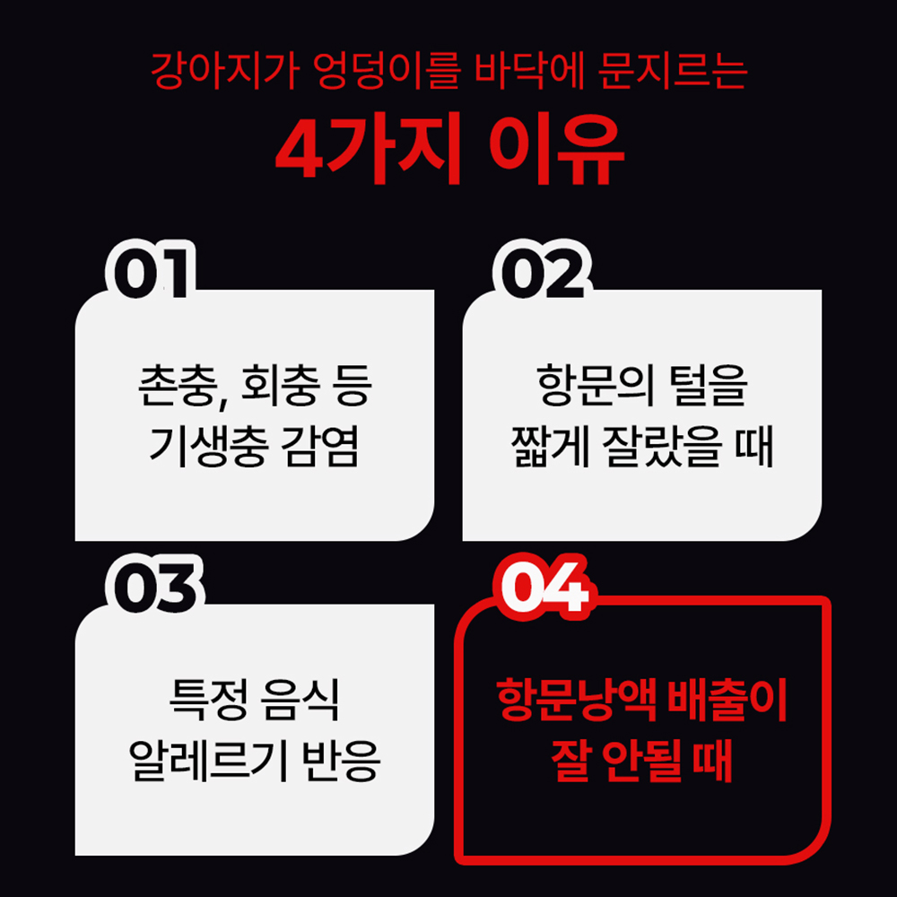 펫생각 리얼멀티비타민 강아지 종합 영양제 눈 간 피부 관절 기관지 항문낭 60정, 1개
