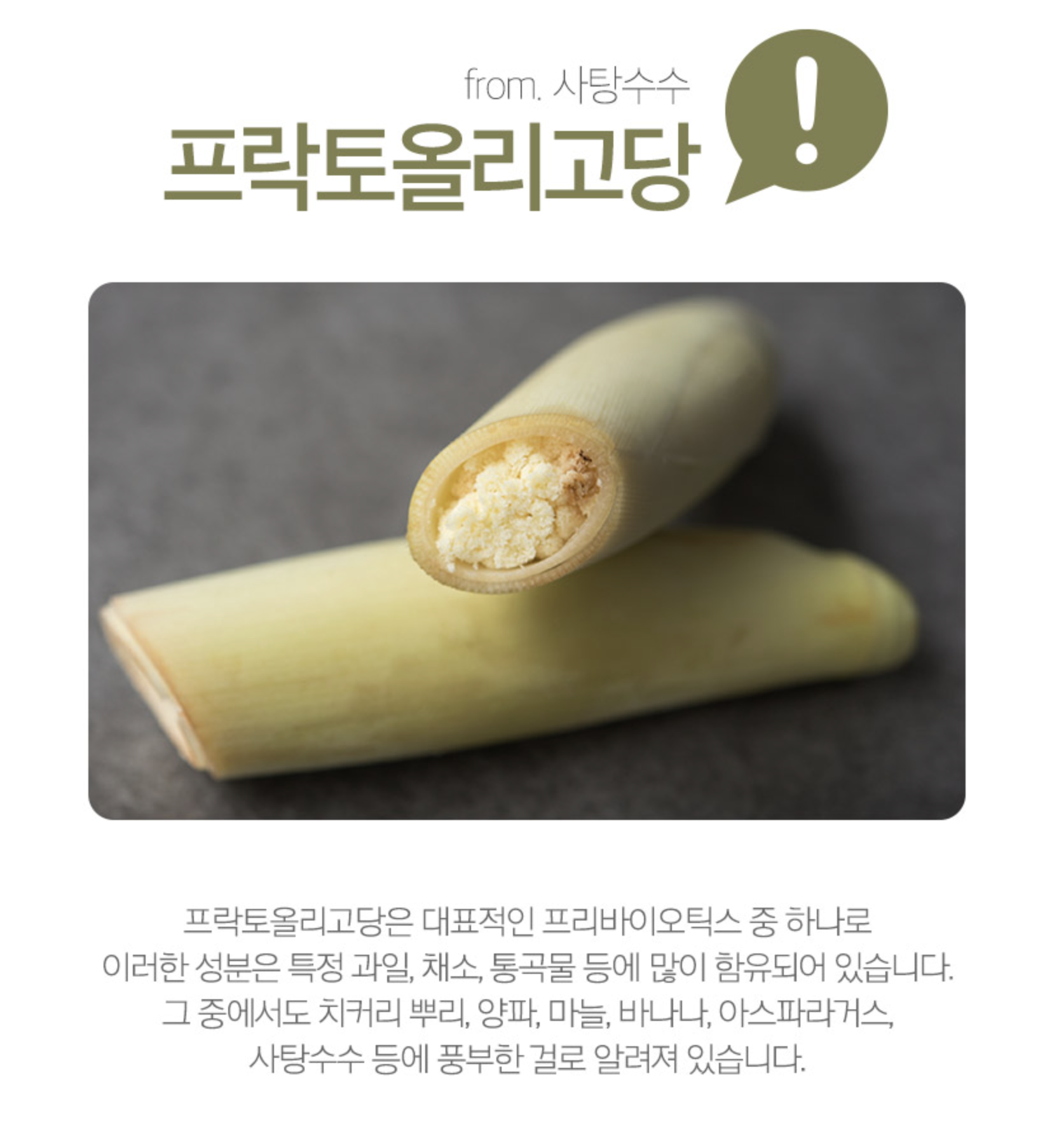 프리바이오틱스분말 프락토올리고당100% 퓨어파이버 FOS 500g, 1개 - 상세 이미지 4