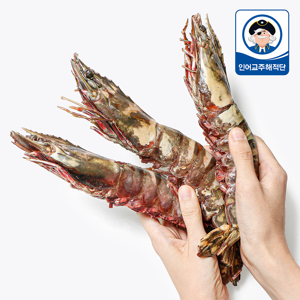 킹타이거새우 1마리 중대 대 특대 특특대 왕새우 킹 블랙타이거 냉동 - 메인 이미지