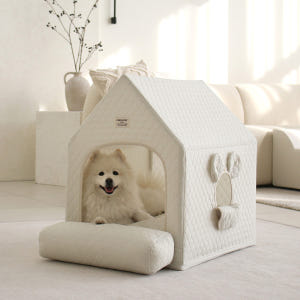 초코펫하우스 사계절 강아지집 에브리데이하우스 3.0 아이보리, 특대형 솔직 후기 | 실제 사용자 리뷰 총정리 - 상품 이미지 1