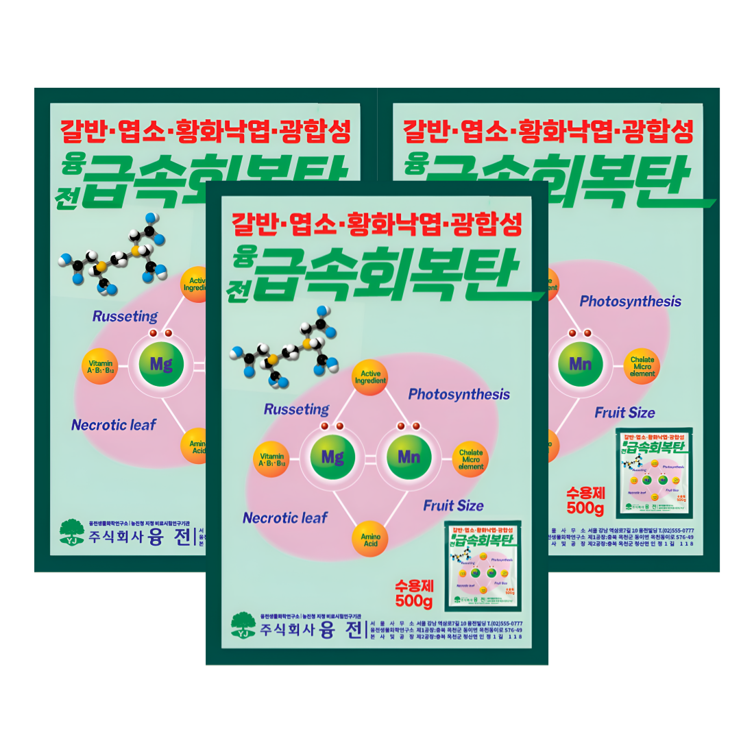 [마그네슘비료] 잎청정 급속회복탄 수용제 갈반회복 황화회복 광합성촉진 500g, 3개입 - 상품 이미지