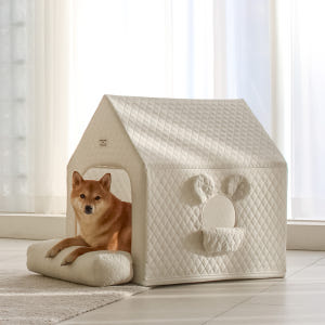 초코펫하우스 사계절 강아지집 에브리데이하우스 3.0 아이보리, 특대형 솔직 후기 | 실제 사용자 리뷰 총정리 - 상품 이미지 4