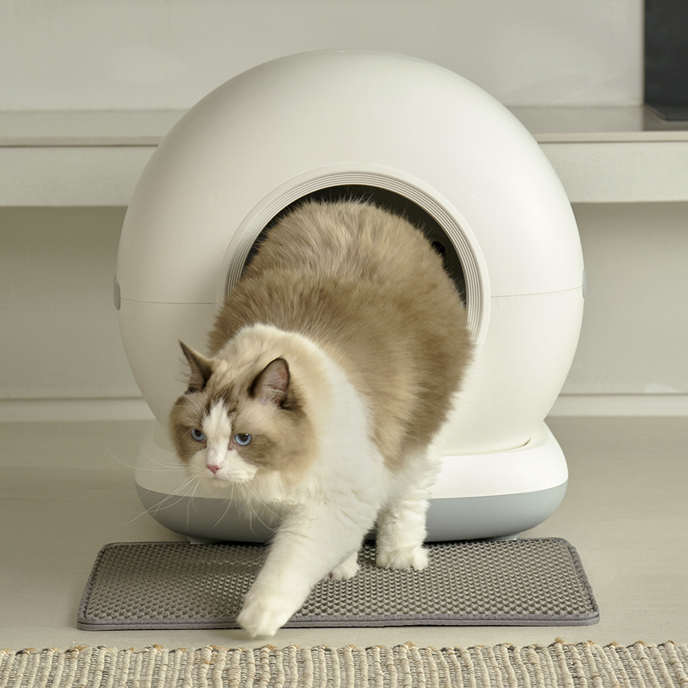 페페 고양이 IoT 스마트 자동 화장실 CT-100ca - 상세 이미지 2