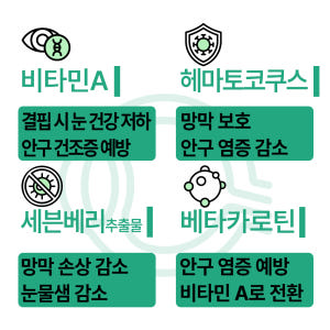 펫생각 강아지 눈 영양제 눈물자국 루테인 눈꼽냄새 백내장 아이즈 120g... 솔직 후기 | 실제 사용자 리뷰 총정리 - 상품 이미지 4
