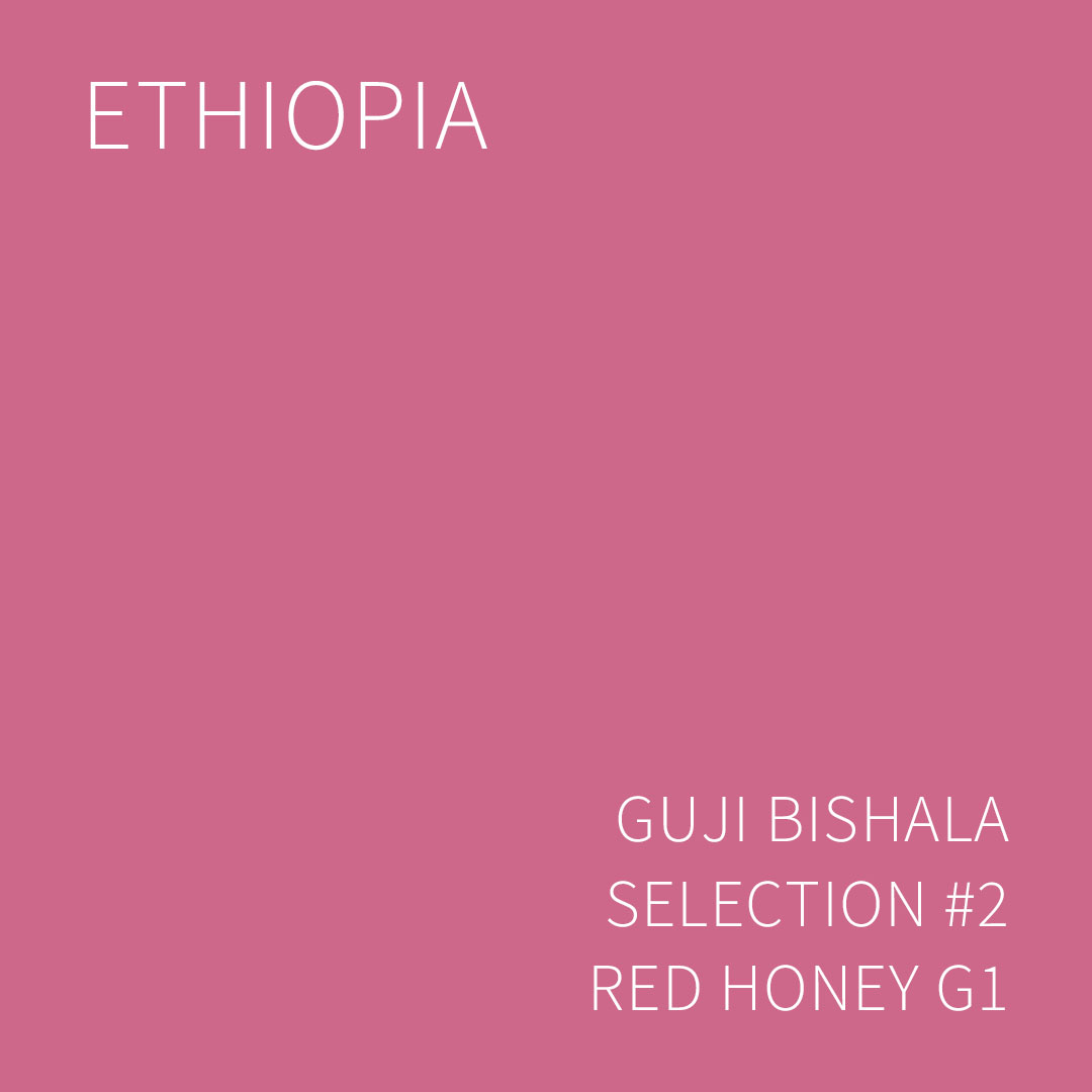 에티오피아 구지 비샬라 셀렉션 #2 레드 허니 G1 5KG (ETHIOPIA GUJI BISHALA SELECTION #2 RED HONEY)