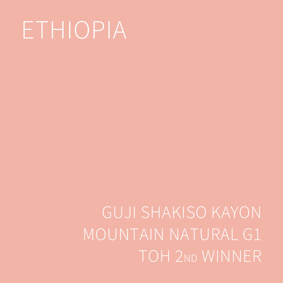 에티오피아 구지 샤키소 카욘 마운틴 팜 내추럴 G1 5KG (GUJI SHAKISO KAYON MOUNTAIN FARM NATURAL)