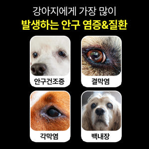 펫생각 강아지 눈 영양제 눈물자국 루테인 눈꼽냄새 백내장 아이즈 120g... 솔직 후기 | 실제 사용자 리뷰 총정리 - 상품 이미지 2