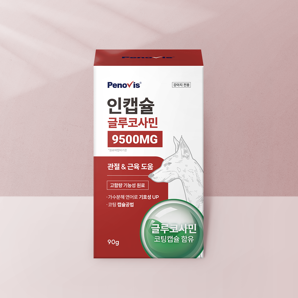 강아지 관절 영양제 페노비스 슬개골 관절강화 관절염 동물병원전용 인캡슐 글루코사민