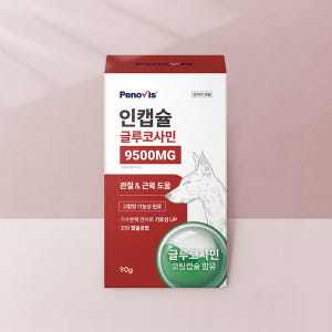 강아지 관절 영양제 페노비스 슬개골 관절강화 관절염 동물병원전용 인캡슐 ... 솔직 후기 | 실제 사용자 리뷰 총정리 - 상품 이미지 1