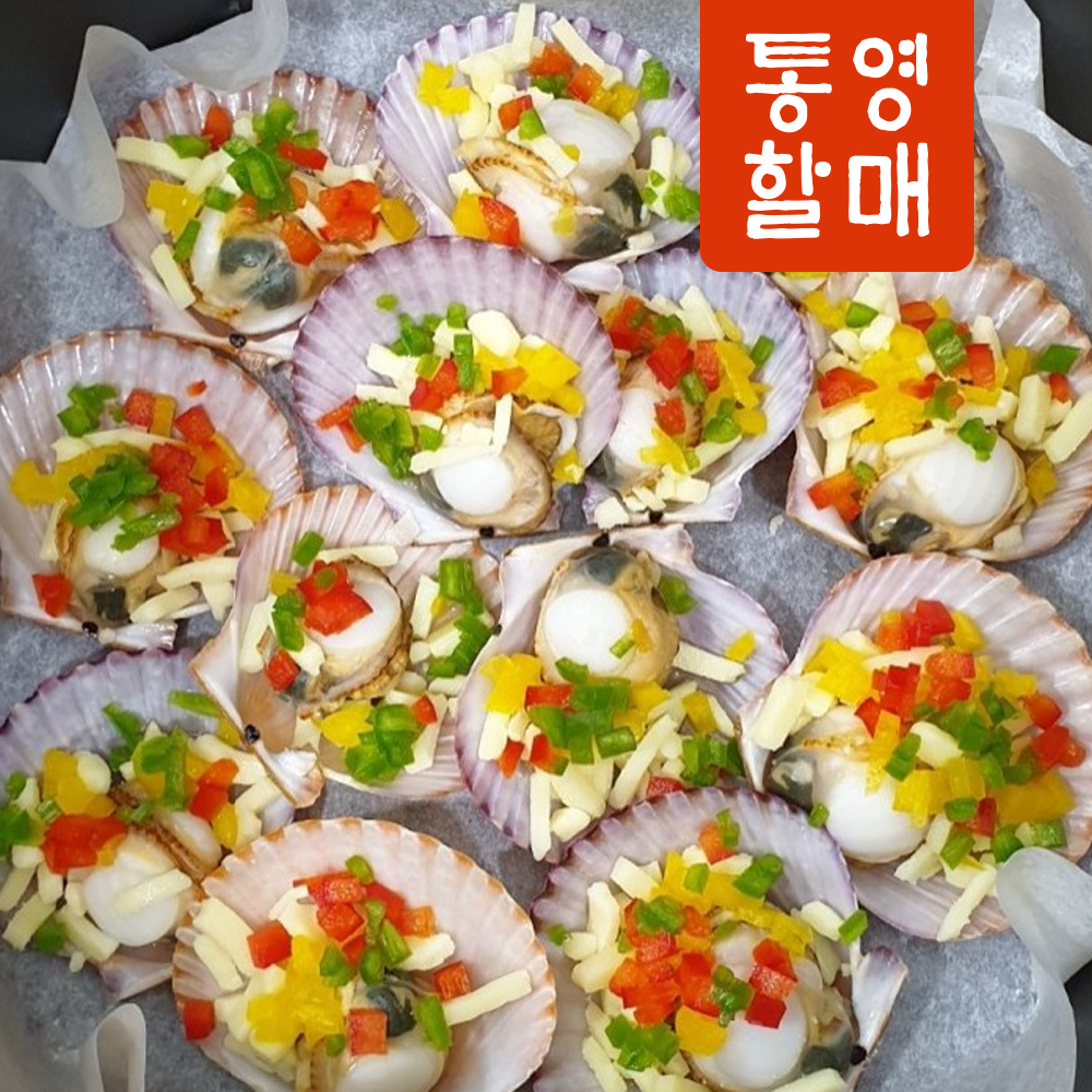통영 홍가리비 4kg 제철 조개 가리비 구이