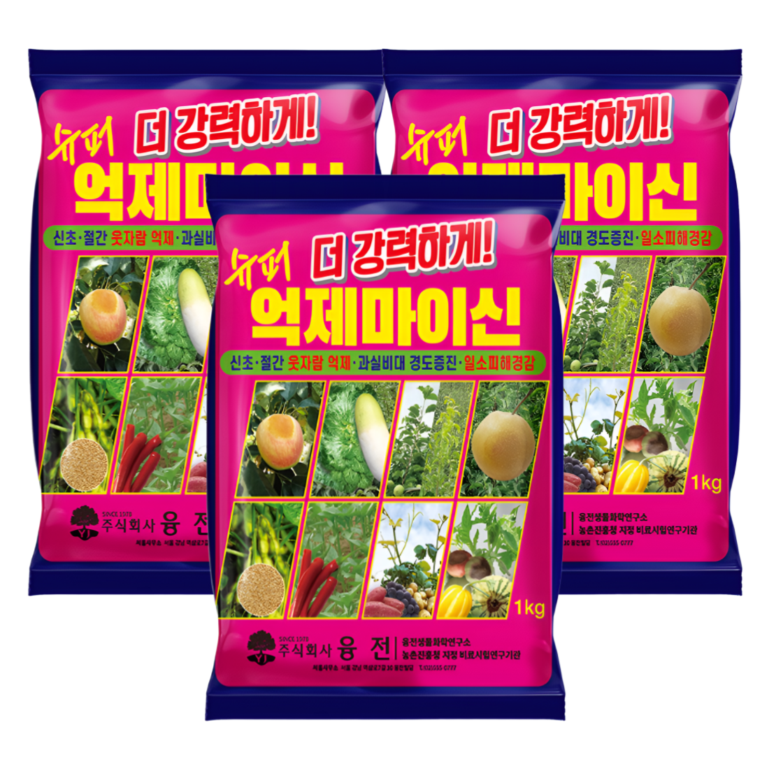 [도장억제제] 슈퍼억제마이신 수용제 웃자람경감제 착색증진 인산가리비료 억제제 1kg, 3개입 - 상품 이미지