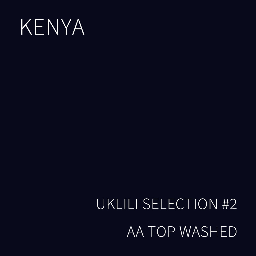 케냐 우클릴리 셀렉션 #2 AA TOP 워시드 5KG (KENYA UKLILI SELECTION #2 AA TOP WASHED)