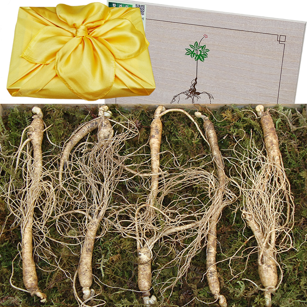 아리아리산삼 6년근 10뿌리 장뇌삼 산양산삼 산양삼 자연산 선물세트 제품 이미지