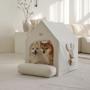 초코펫 중형견 대형견 실내 강아지집 에브리데이하우스 3.0 특대형 솔직 후기 | 실제 사용자 리뷰 총정리 - 상품 이미지 2