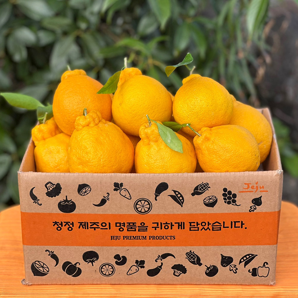제주 한라봉 제철 고당도 설날 선물세트 명절 가정용 선물용 1kg 2.5kg 4.5kg - 상품 이미지