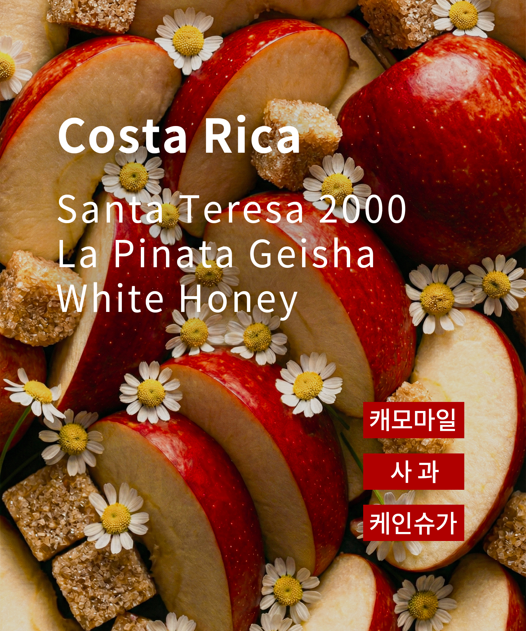 코스타리카 산타 테레사 2000 라 피나타 게이샤 화이트 허니 원두 200g 사과,캐모마일,케인슈가 - 상품 이미지