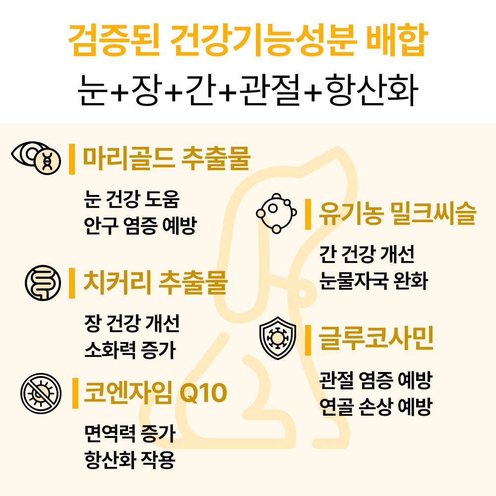 펫생각 리얼멀티비타민 강아지 종합 영양제 눈 간 피부 관절 기관지 항문낭 60정, 1개