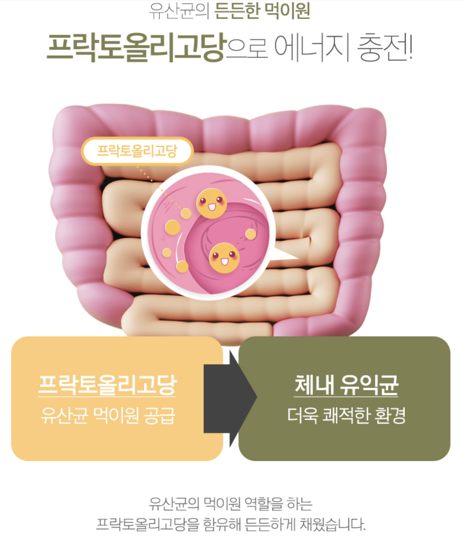 프리바이오틱스분말 프락토올리고당100% 퓨어파이버 FOS 500g, 1개 - 상세 이미지 5