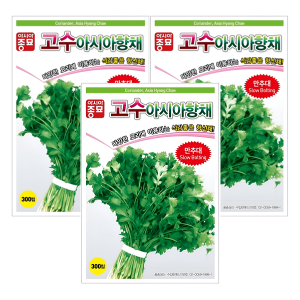 [고수종자] 고수 아시아향채 300립/37,500립 씨앗 종자 5g, 3개입 - 상품 이미지