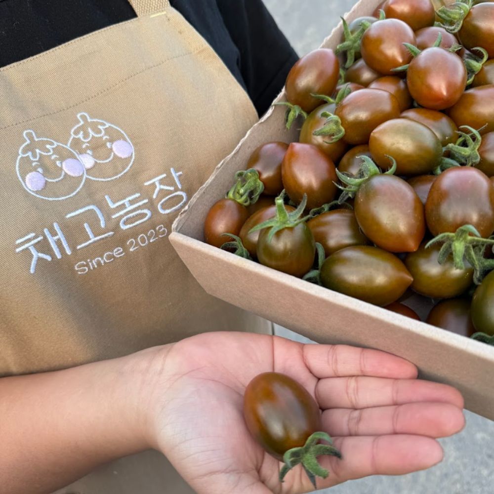 탱글하고 맛있는 밀양 흑대추 방울토마토 1kg, 1개 - 상세 이미지 2