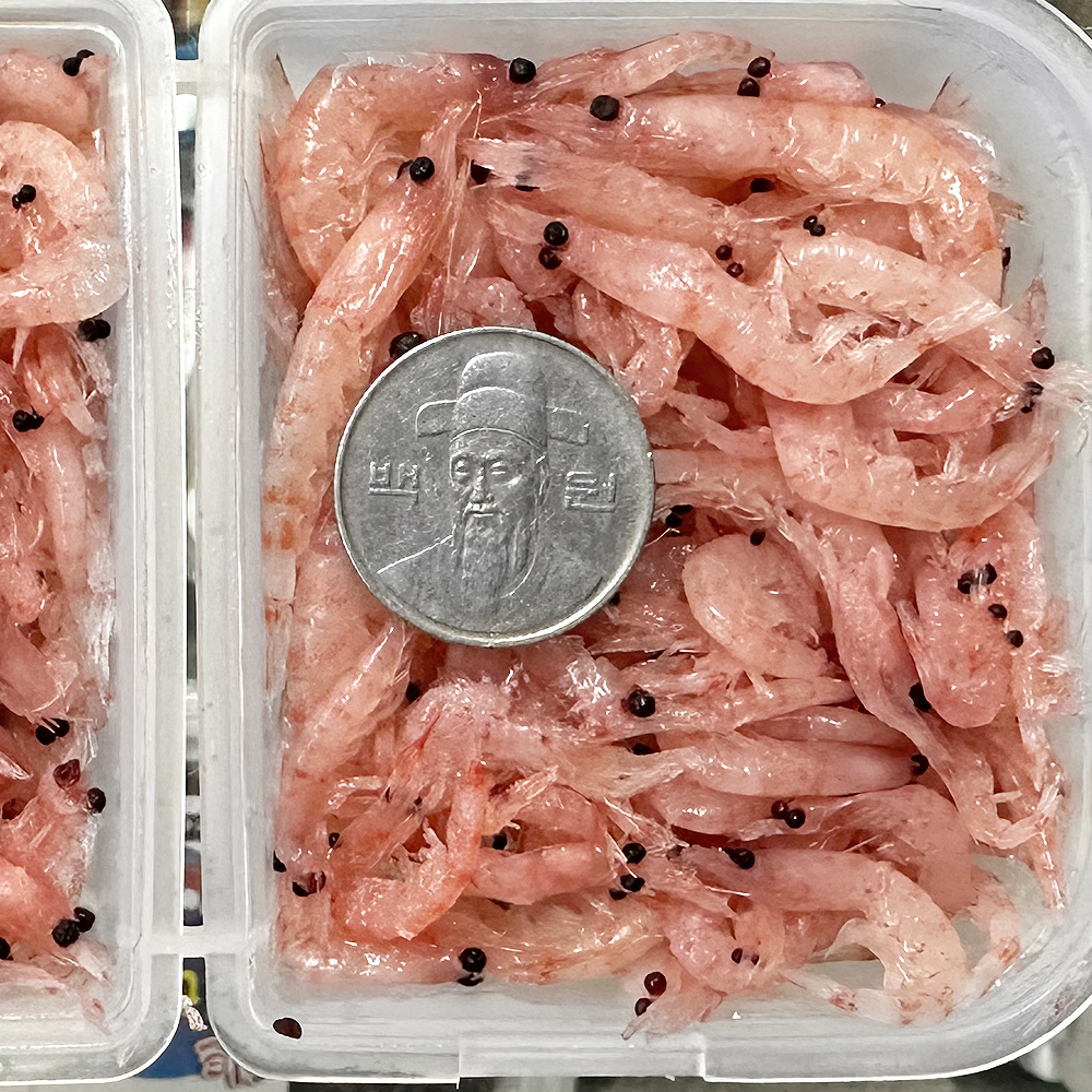 조선크릴 질기고 부드러운 SS사이즈 학꽁치 각크릴 미끼 - 메인 이미지