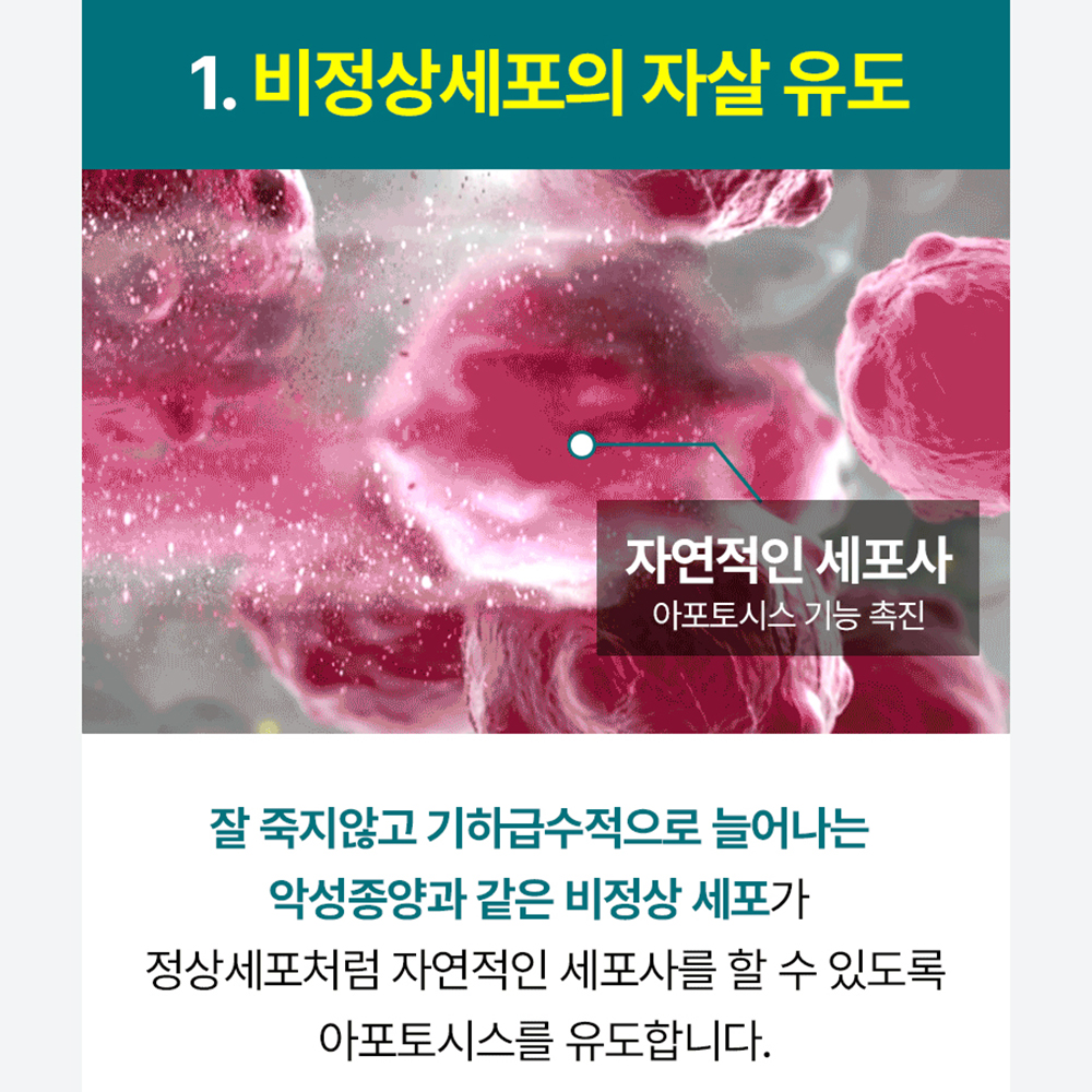 펫생각 리얼 후코이단 강아지 종합 영양제 면역력 소화 혈행 피부 항산화제 30정, 1개 이미지 4