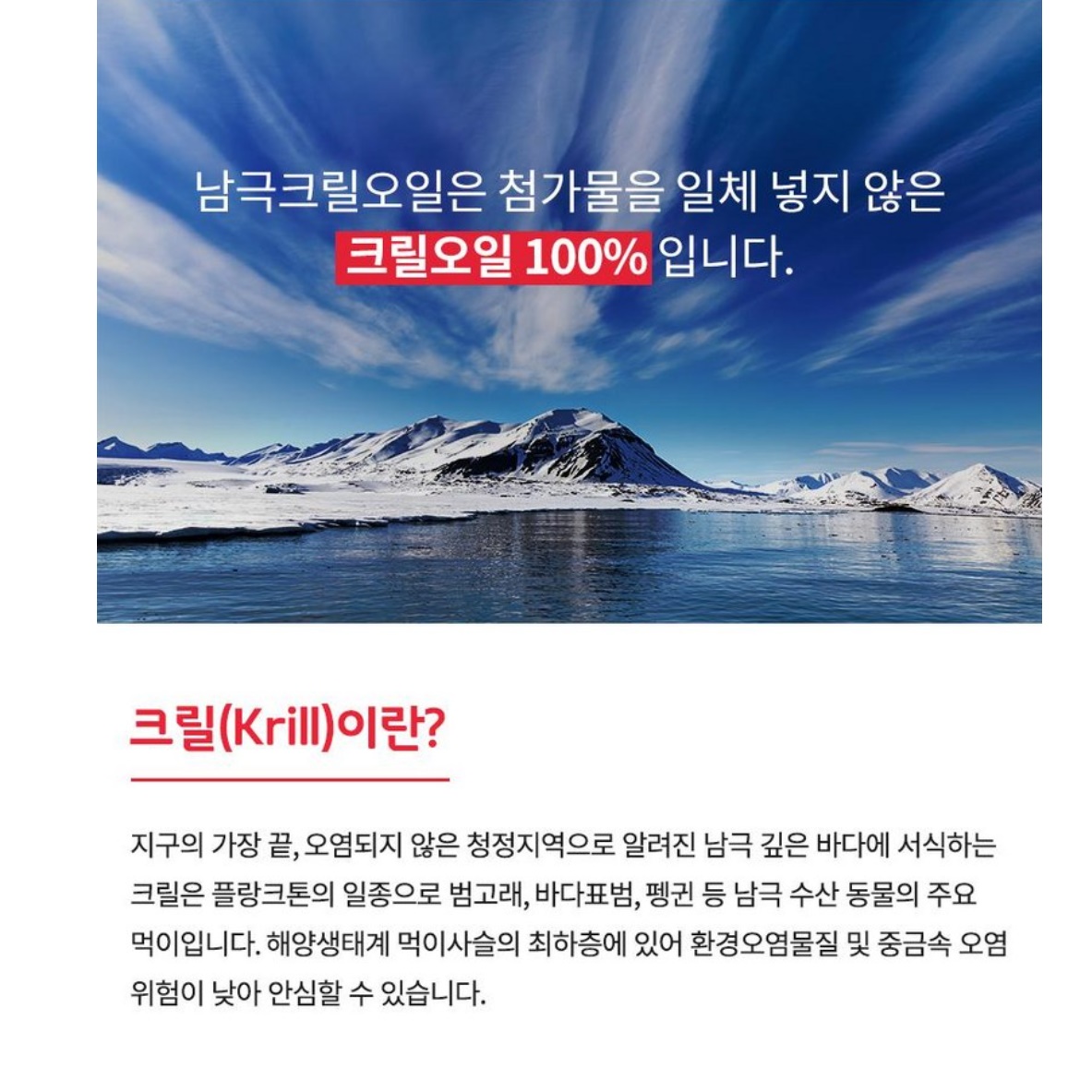 남극 크릴 오일 효능 먹는 크릴 새우 오일 기름 60정 - 상세 이미지 3