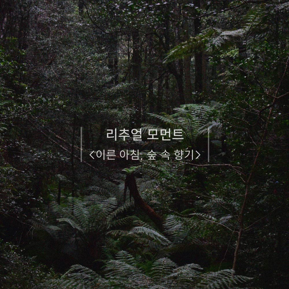 BeReal BeYou 비리얼비유 멀티퍼퓸 디스커버리 세트 (Discovery Set) ㅣ #미니향수 #향수디스커버리세트 #향수디스커버리 #향수세트 #디스커버리키트 #미니향수세트 - 상세 이미지 5