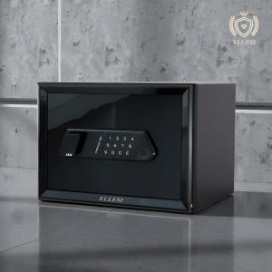 [내일도착] 엘르시 가정용 소형 개인용 금고 ELS-V25T 블랙 실사용 후기 | 효과 있을까? - 상품 이미지 2