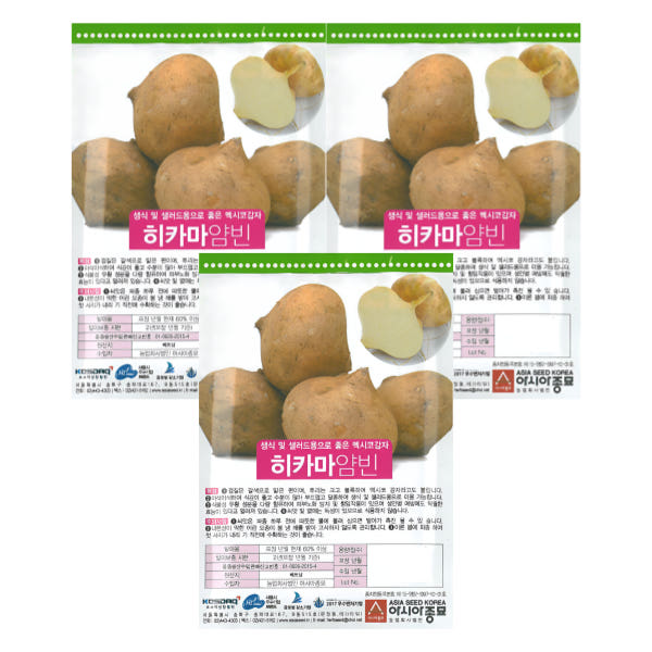 히카마 씨앗 종자