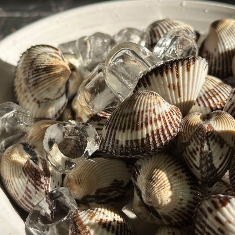 다이쏘 꼬막 벌교 새꼬막 1kg 대짜 (60-70미 내외) - 상품 이미지