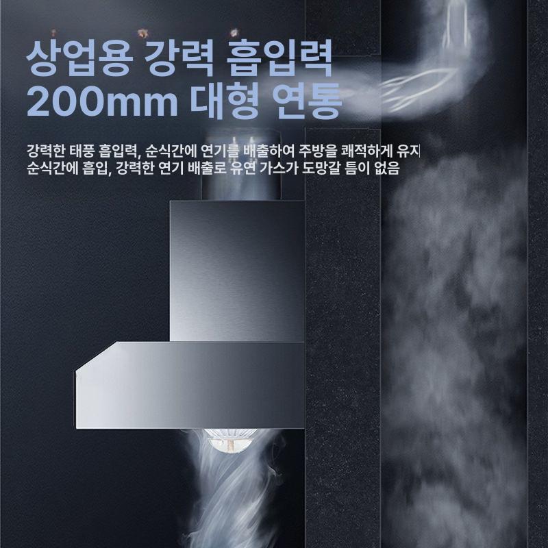 상업용 주방용 대형 흡입 정화기 스테인 가정용 식당용 1번 흡입구 낮은 공기 흐름 2번x3번 - 상세 이미지 4